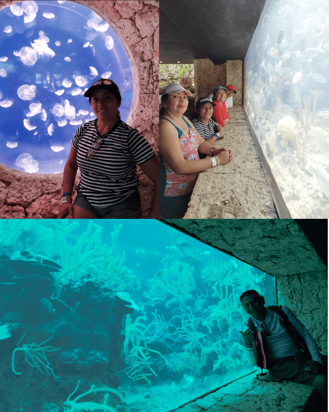 mex13