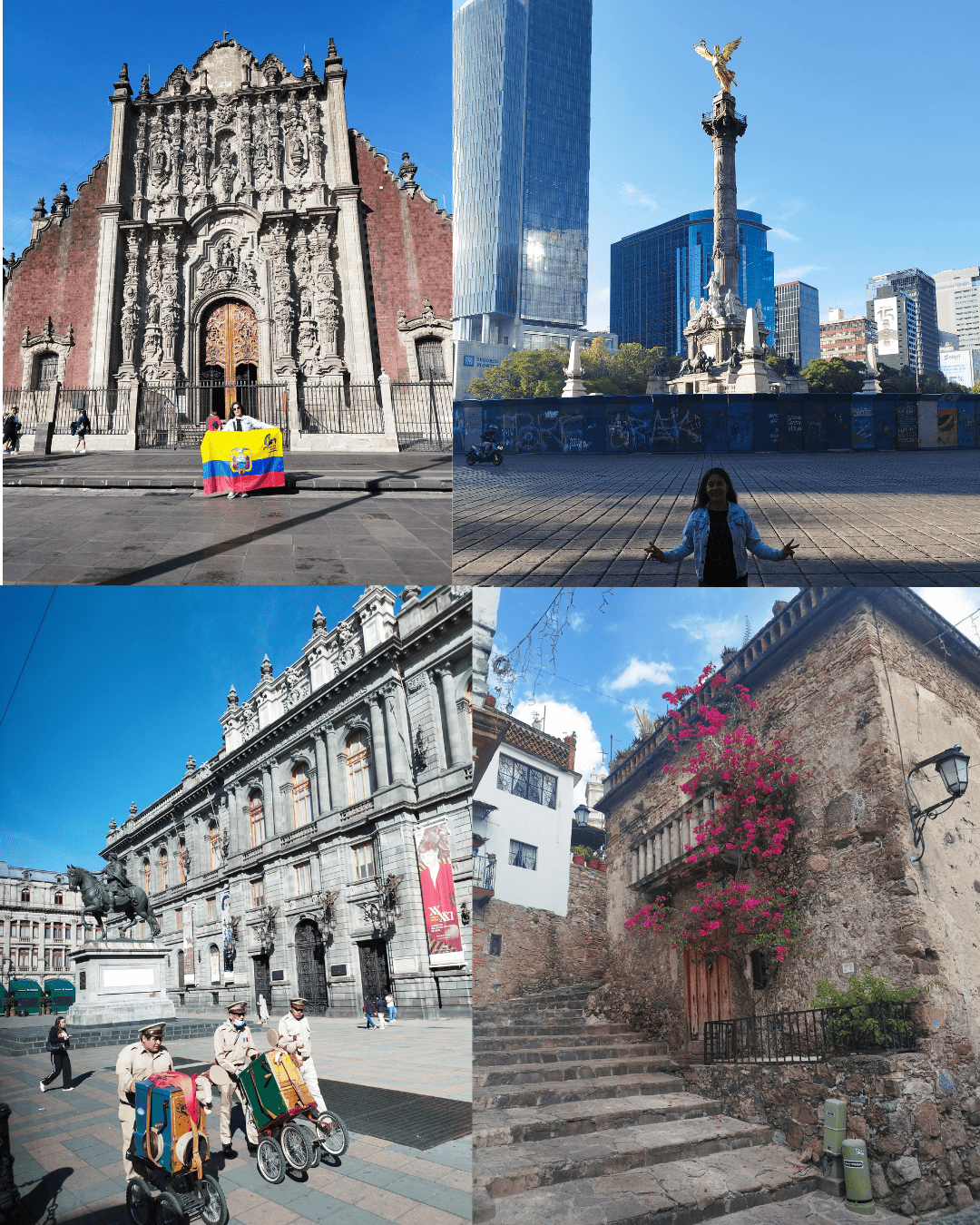 mex3
